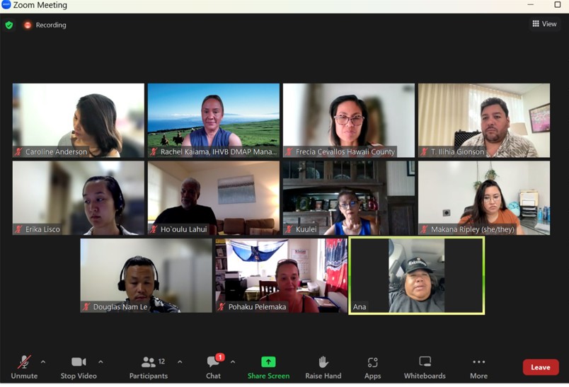 Photo of online zoom meeting attendees